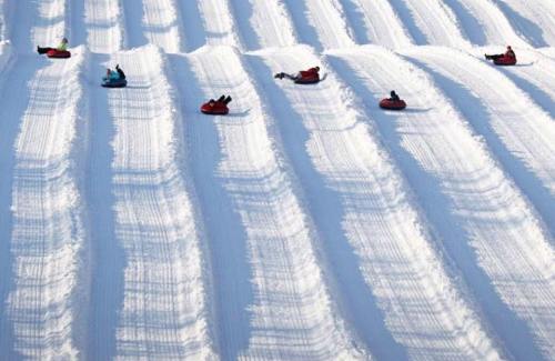 A snowy hill with several people sledding down in red tubes, creating tracks in the fresh snow.