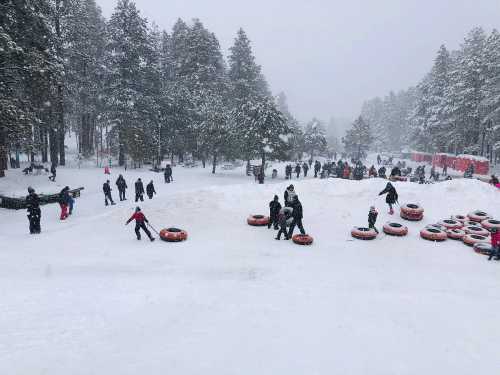 A snowy landscape with people tubing and playing in the snow, surrounded by trees and a wintery atmosphere.