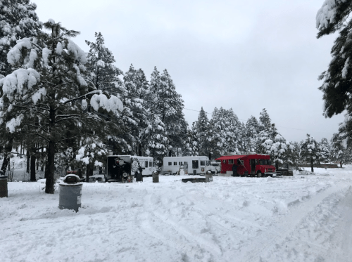 A snowy landscape with several trailers and a red truck surrounded by tall pine trees.