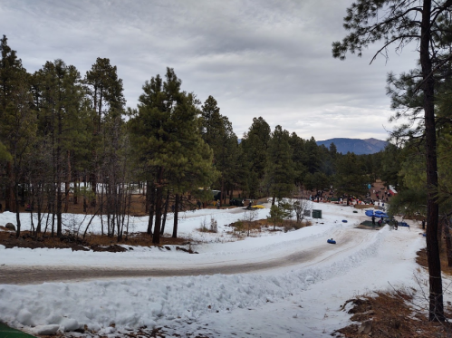 A snowy landscape with a winding path through tall pine trees, leading to a distant area with buildings and mountains.