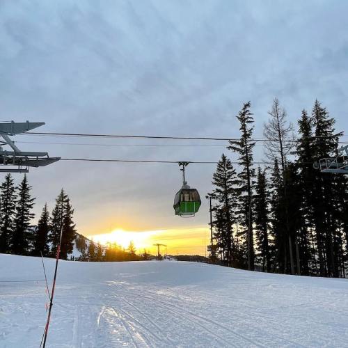 A ski lift gondola moves over a snowy landscape with tall trees, as the sun sets in the background.