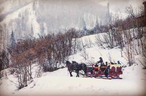 A horse-drawn sleigh carries passengers through a snowy landscape with trees in the background. Snow is falling gently.