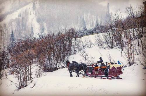 A horse-drawn sleigh carries passengers through a snowy landscape with trees in the background. Snow is falling gently.