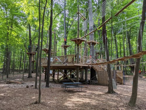 A treehouse and ropes course in a lush green forest, surrounded by tall trees and a wooden platform.