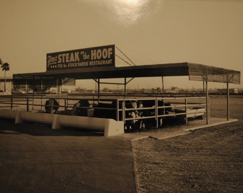 Black and white photo of a restaurant sign reading "Steak on the Hoof" with cattle in a pen nearby.