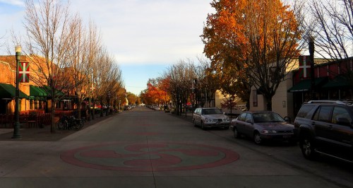 A tree-lined street in autumn, with colorful leaves and parked cars, under a clear sky.