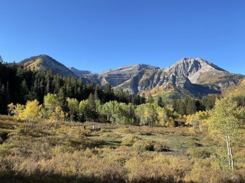 Scenic mountain landscape with autumn foliage, clear blue sky, and a mix of trees and open fields.