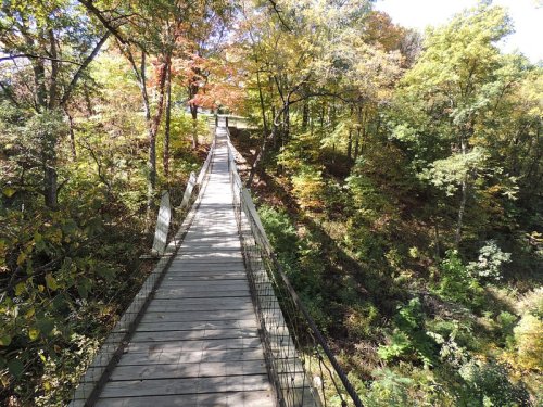 A wooden suspension bridge surrounded by colorful autumn trees and lush greenery.