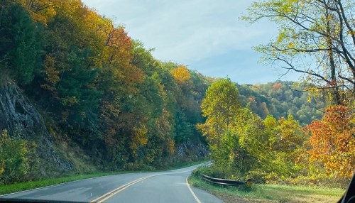 A winding road surrounded by vibrant autumn foliage and rolling hills under a clear sky.