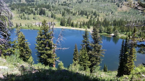 A serene lake surrounded by lush green trees and hills under a clear blue sky.