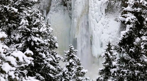 A frozen waterfall surrounded by snow-covered trees in a winter landscape.