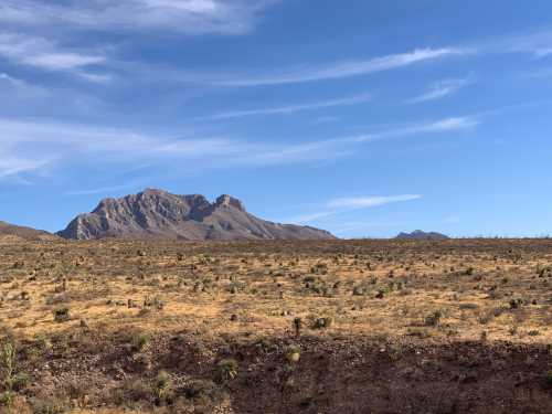 A vast, arid landscape with sparse vegetation and a prominent mountain range under a clear blue sky.