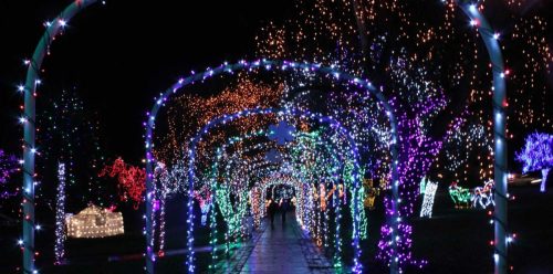 A colorful pathway illuminated with vibrant holiday lights, creating a festive and enchanting atmosphere.