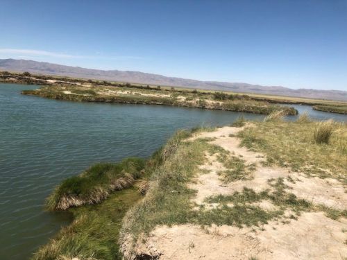 A serene landscape featuring a river winding through grassy banks under a clear blue sky.