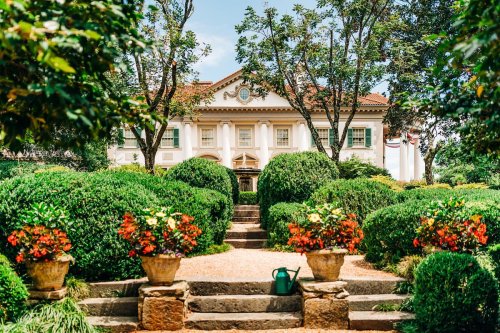 A lush garden with rounded hedges and colorful flower pots, leading to a grand building in the background.