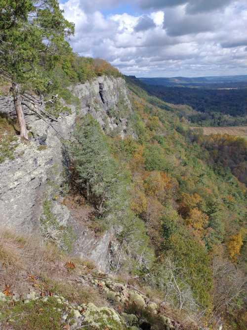 A scenic view of a rocky cliff surrounded by trees and autumn foliage under a partly cloudy sky.