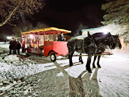 A horse-drawn carriage waits on a snowy street at night, with a driver and festive lights illuminating the scene.