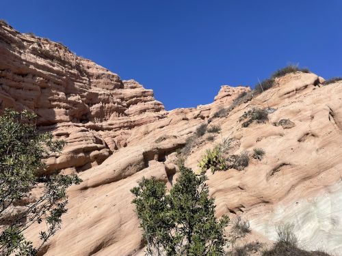 Rocky desert landscape with layered sandstone formations and sparse vegetation under a clear blue sky.
