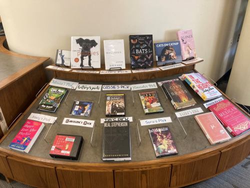 A display of various books and DVDs arranged on a table, labeled with different categories and picks.