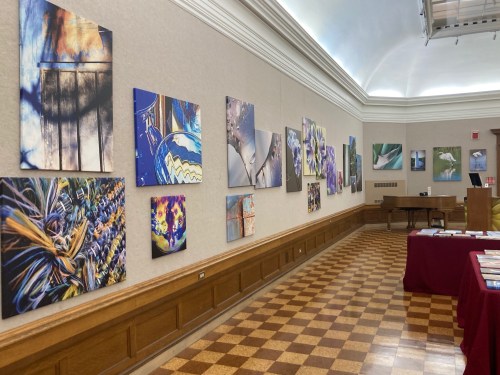 A gallery wall displaying various colorful photographs, with a wooden floor and tables in the foreground.