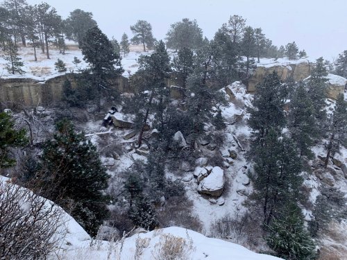 Snow-covered rocky landscape with pine trees, surrounded by a snowy, foggy atmosphere.