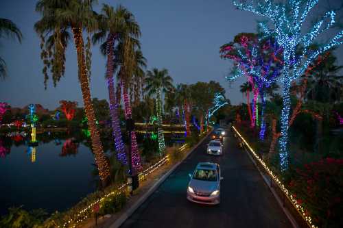 Cars drive along a lit pathway surrounded by colorful trees and reflections in a calm waterway at dusk.