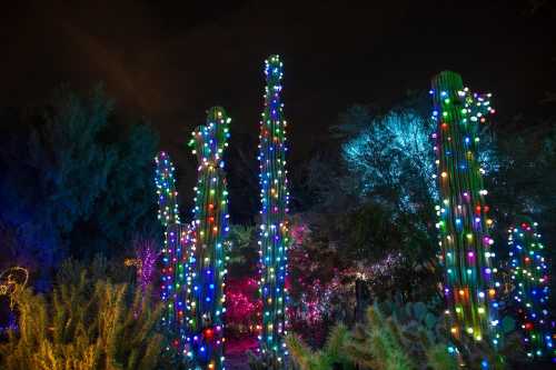 Colorful lights adorn tall cacti in a vibrant, illuminated desert landscape at night.