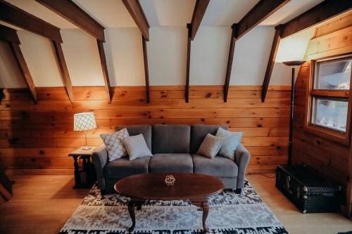 Cozy living room with a gray sofa, wooden walls, a patterned rug, and a lamp, featuring a coffee table and a trunk.