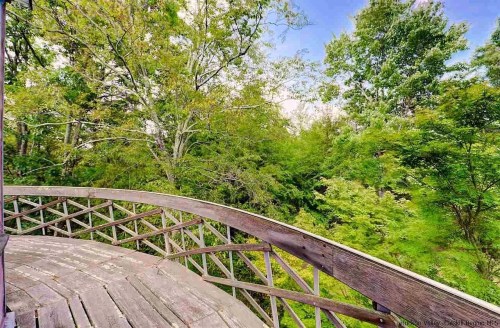 A wooden deck curves around lush green trees under a bright blue sky.