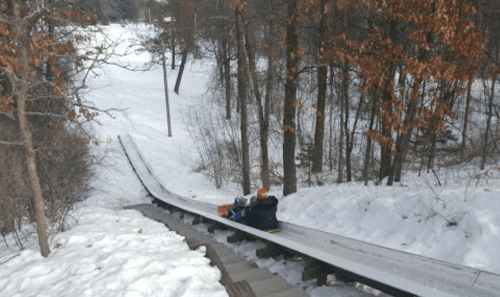 A person sledding down a snowy hill surrounded by trees, with a clear path ahead.