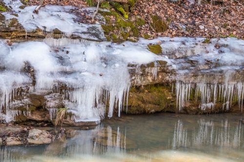 Icicles hang from a rocky ledge above a calm, reflective stream surrounded by moss and fallen leaves.