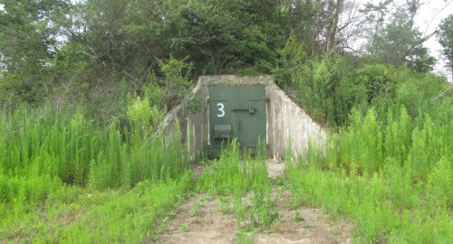 A weathered green door marked "3" set in a concrete structure, surrounded by tall grass and overgrown vegetation.