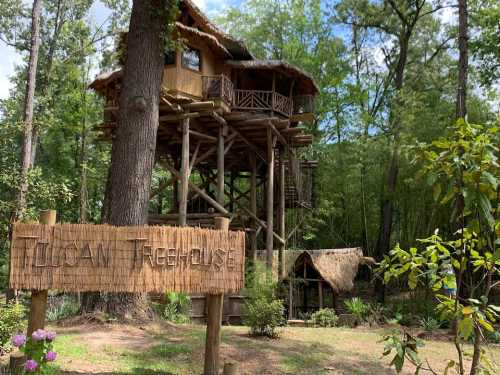 A tall treehouse with a thatched roof surrounded by trees, featuring a wooden sign that reads "Tulsa Treehouse."