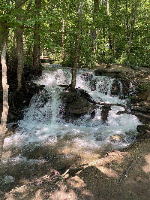 A serene waterfall cascades over rocks, surrounded by lush green trees in a peaceful forest setting.