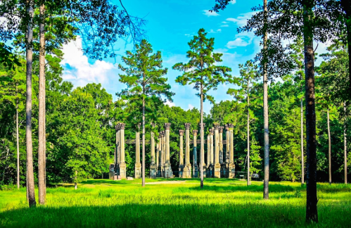 Ruins of tall stone columns surrounded by lush green trees and grass under a bright blue sky.