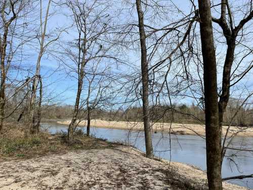 A serene riverbank scene with bare trees and a sandy shore under a clear blue sky.