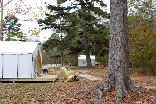 A campsite with two tents on wooden platforms, surrounded by trees and fallen leaves in a wooded area.