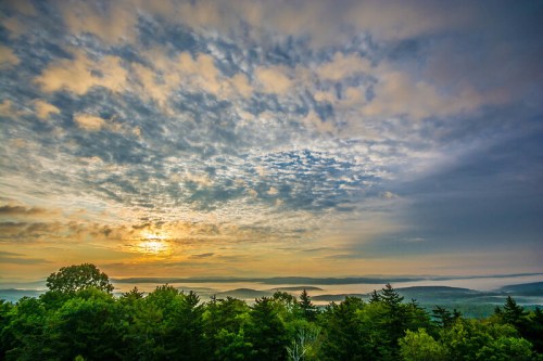 A scenic view of a sunrise over misty hills, framed by lush green trees and a colorful sky filled with clouds.