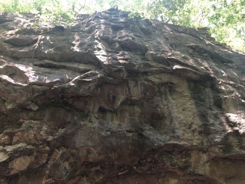 A rocky cliff face covered in moss and surrounded by green foliage. Sunlight filters through the trees above.