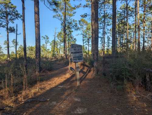 A wooden sign marks a trail entrance in a pine forest, surrounded by tall trees and sunlight filtering through the branches.