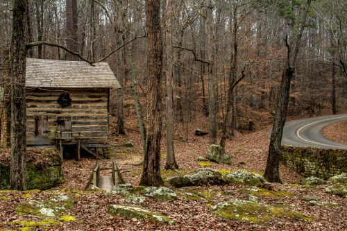 A rustic wooden cabin surrounded by trees and fallen leaves, with a winding road nearby.