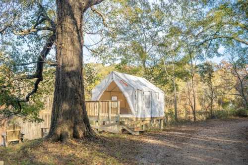 A cozy tent cabin on a wooden platform, surrounded by trees and nature.