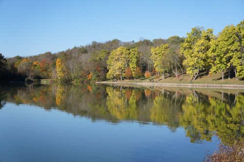 A serene lake reflecting colorful autumn trees under a clear blue sky.