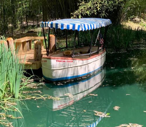 A small boat named "Toucan Queen" is moored by a wooden dock, surrounded by lush greenery and calm water.