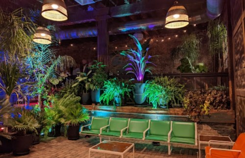 A vibrant indoor space with lush plants, colorful lighting, and green seating, creating a cozy atmosphere.