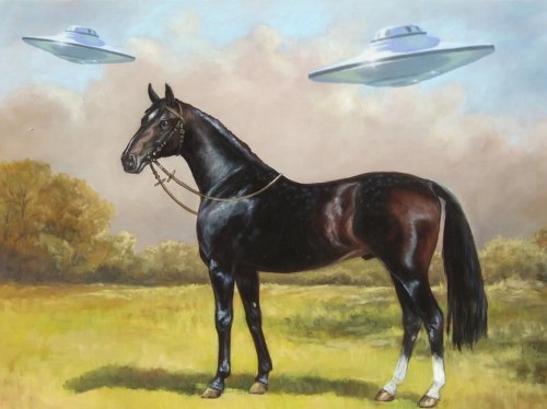 A black horse stands in a field under two hovering UFOs in a cloudy sky.