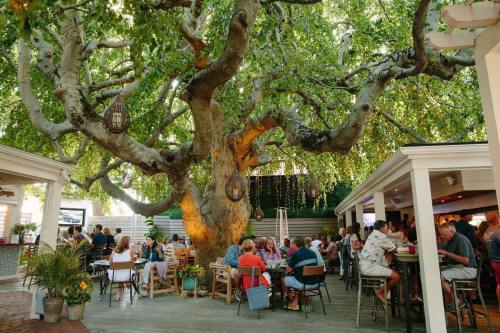 A lively outdoor dining area under a large tree, with people enjoying meals and drinks in a cozy atmosphere.