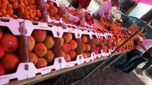 A vibrant market scene with boxes of mangoes and oranges displayed on a table under a pink canopy.