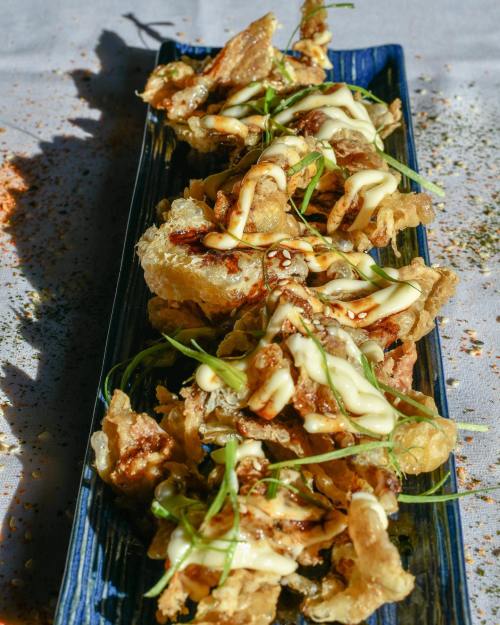 A blue plate filled with crispy fried snacks drizzled with sauce and garnished with green onions.