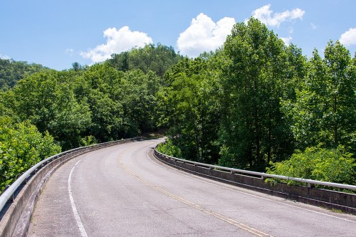 A winding road curves through lush green trees under a bright blue sky with fluffy clouds.